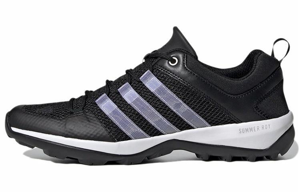 Кроссовки Adidas Terrex Daroga Plus