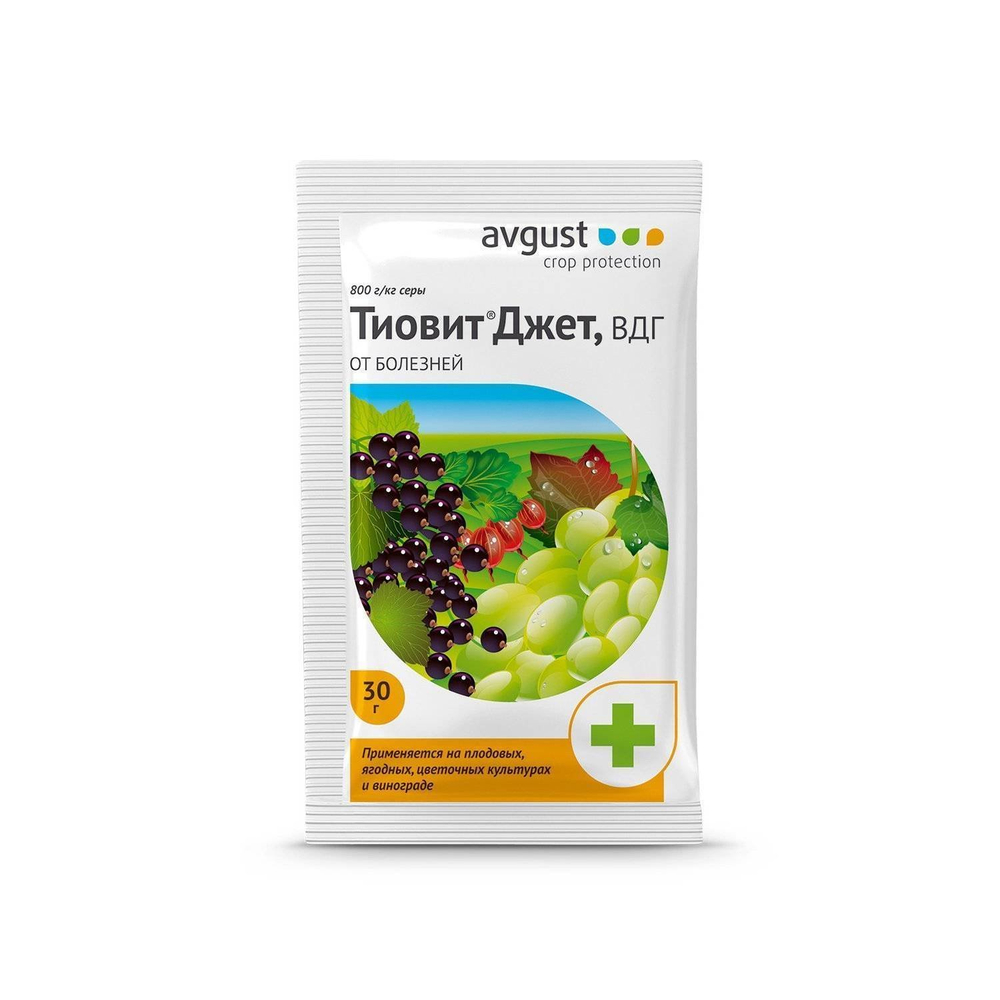 Тиовит Джет, 30г Август