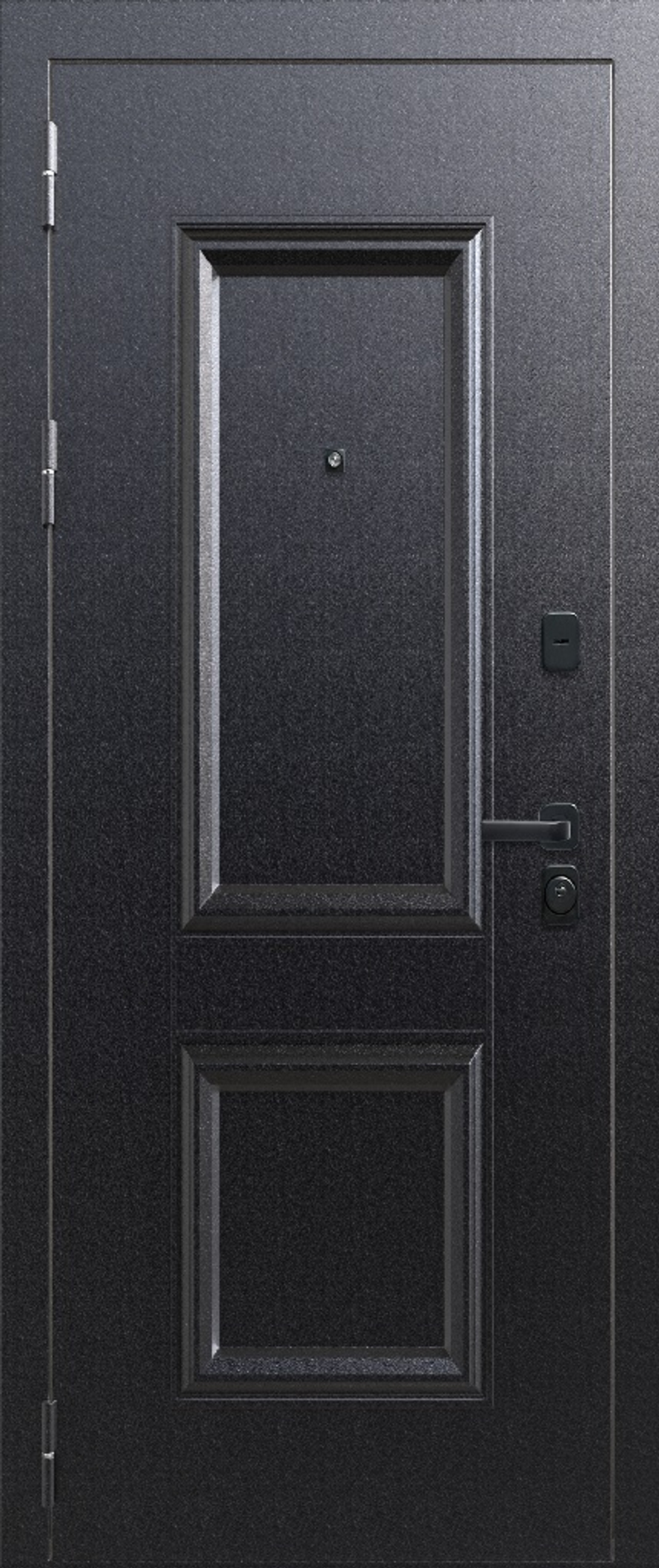 Входная дверь FlyDoors АРКАН ШТАМП внешняя Букле чёрный