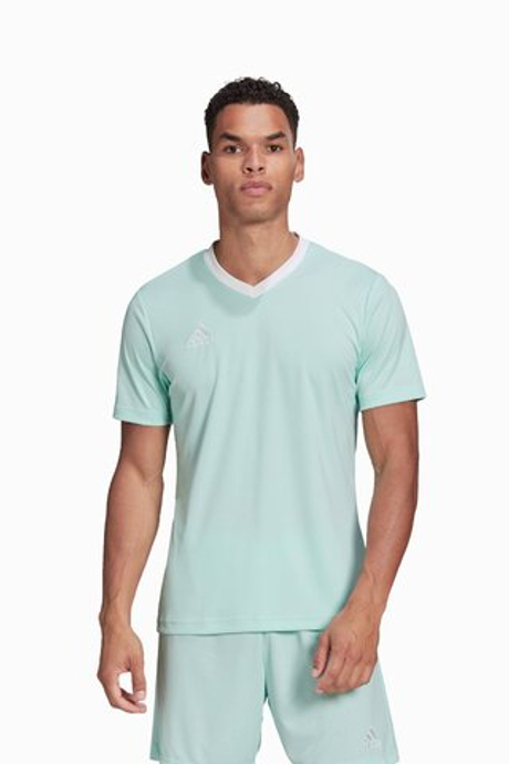 Футболка adidas Entrada 22