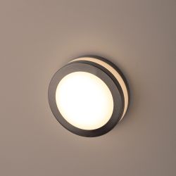 WL25 Подсветка ЭРА Декоративная подсветка GX53 MAX 13W IP44 хром/белый | Настенная подсветка