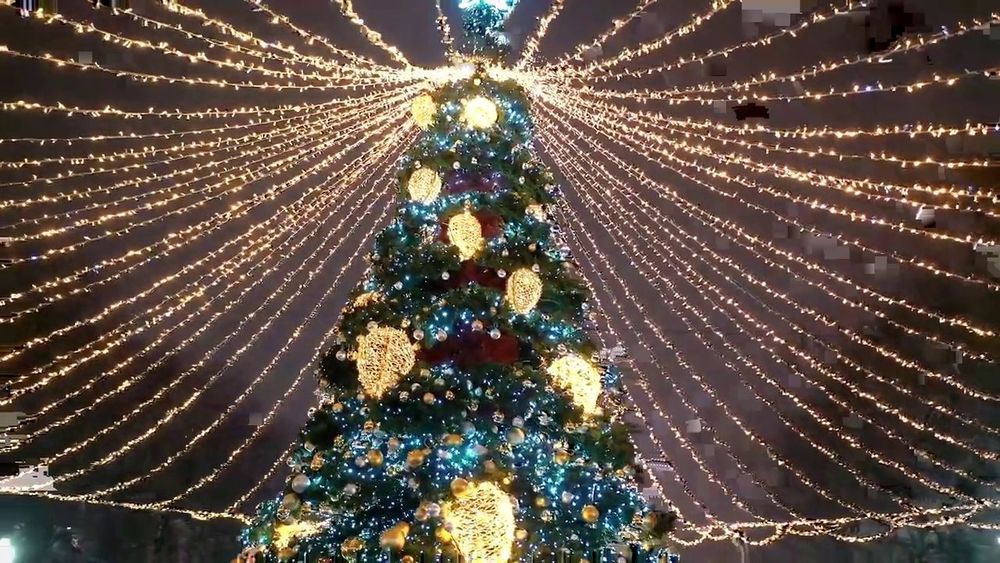 Светодинамическая елка ствольная - встроенная гирлянда: Холодный свет - "Таежная" от 11 до 21 м