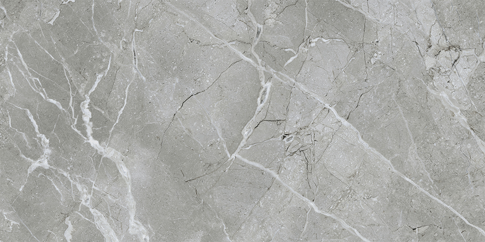 60x120 SilkMarble Бреча Серый Матовый R9