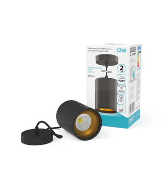 Накладной светильник LED Gauss 12W черный/золото 4100K HD042 79*100мм