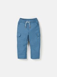 предиетное