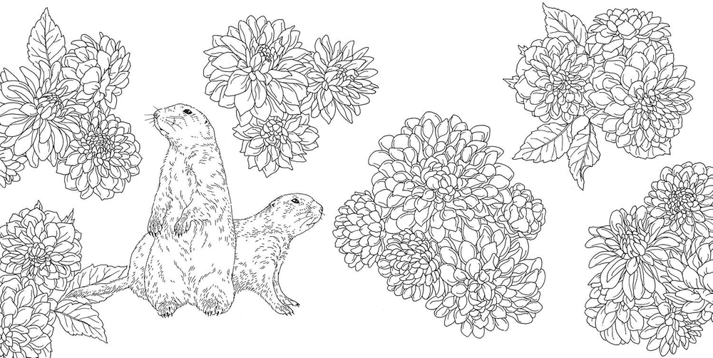 Gifts from animals Birth Moon Flower. Coloring Book