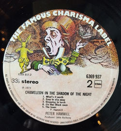 Винтажная виниловая пластинка LP Peter Hammill Chameleon In The Shadow Of The Night (Holland 1973)