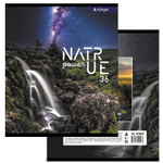 Тетрадь 36 л., А5, клетка, Alingar "Nature power", скрепка, второй блок 60г/м2, мелованный картон (стандарт), 4 дизайна в пленке т/у