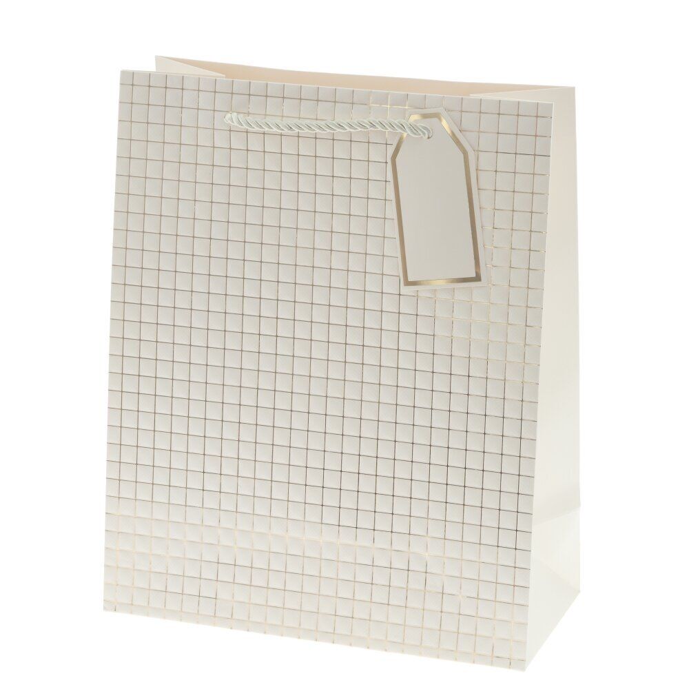 GAEM Пакет подарочный M (бумага 210г/м2, блок 12шт), L26 W12 H32 см, 14в.