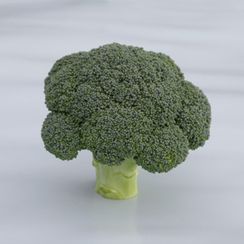 БАТОРИ F1 семена капусты брокколи (Syngenta | Alexagro)