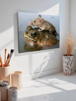 Картина на стену 40 X 50 Лягушка и мышь