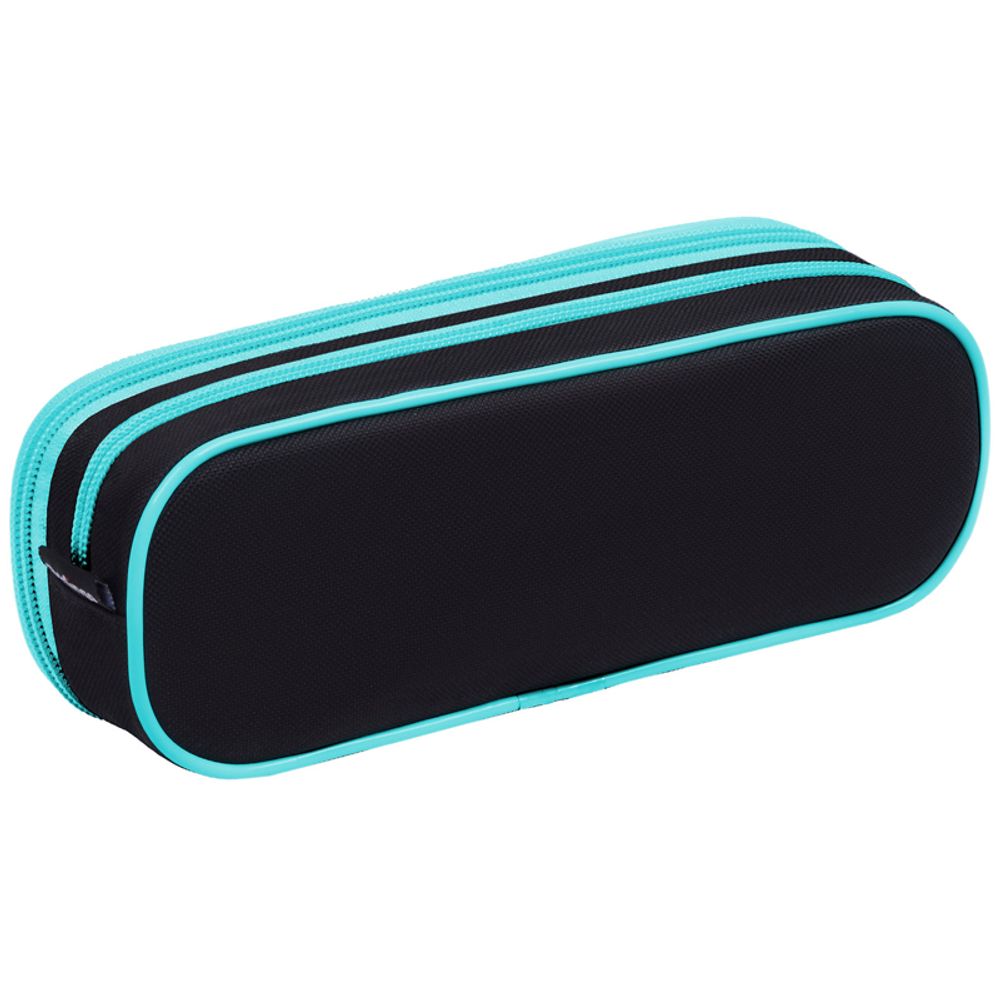 Пенал мягкий 2 отделения, 220*80*50 Berlingo "Clever cat", полиэстер, внутр. органайзер