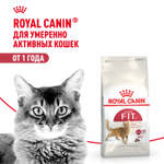 Royal Canin Fit 32 Фит 32 Корм сухой для взрослых умеренно активных кошек от 1 года 200г