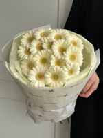 Монобукет из 15 минигербер