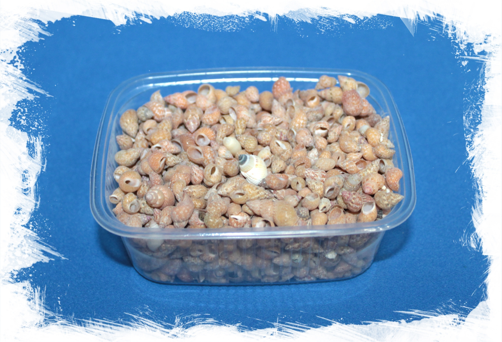 Фасионелла Атопика, 0,5-1,5см, 100гр, 300шт