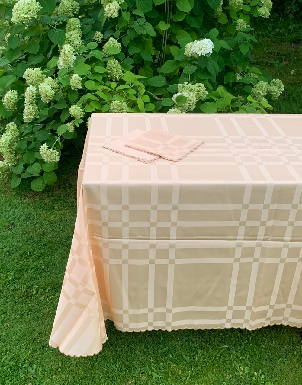 Скатерть 180x270 и 12 салфеток Palombella Marilia персиковые