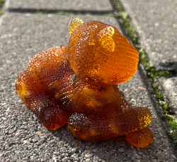 Кот вязаный отдыхает