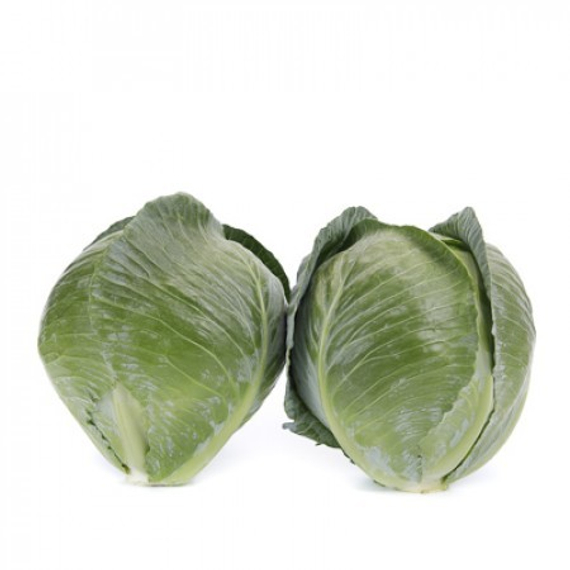 Конгама F1 семена капусты белокочанной – фото 3
