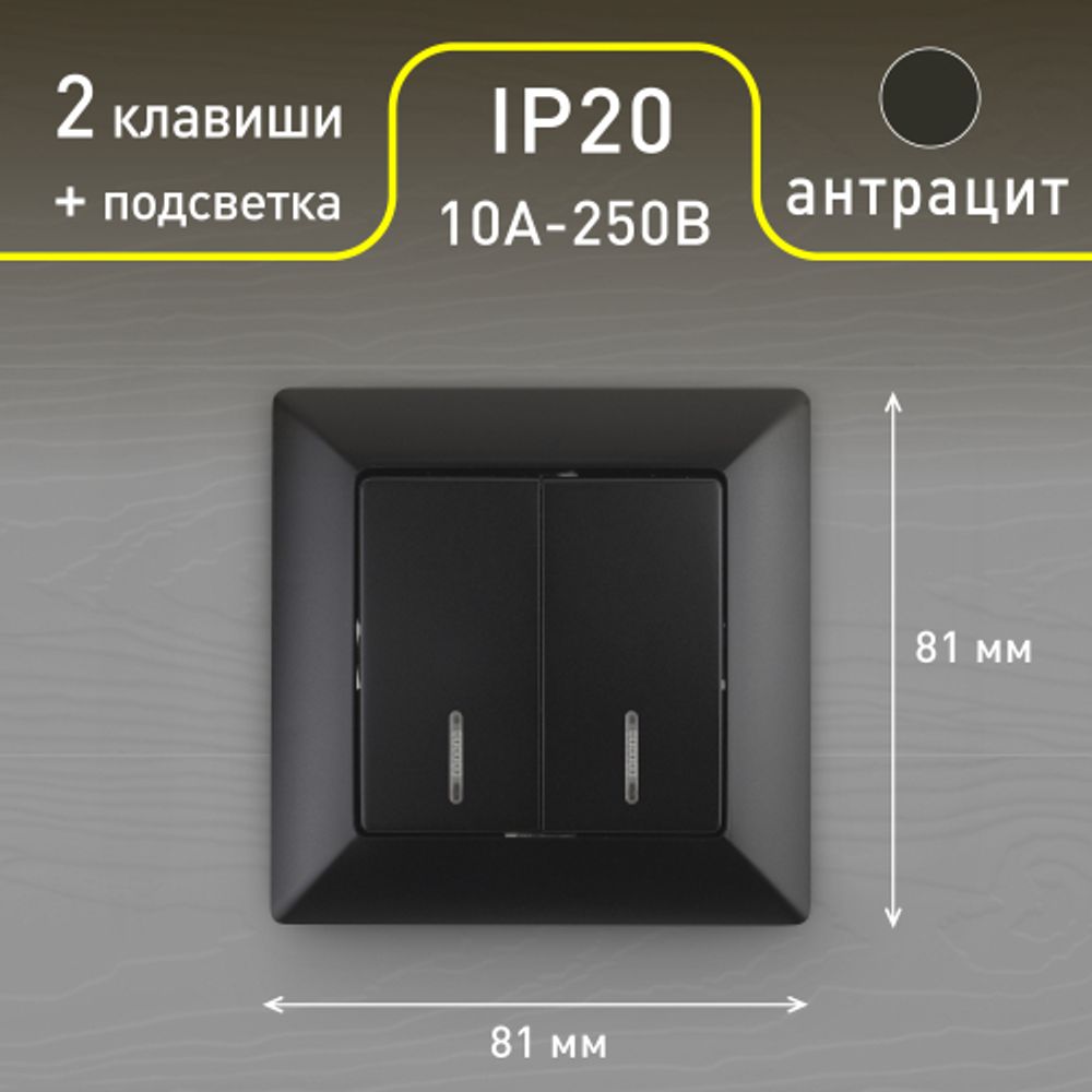 Выключатель Intro Solo 4-105-05 двухклавишный с подсветкой, 10А-250В, IP20, СУ, Solo, антрацит