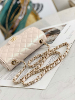 Chanel Flap 20 cm