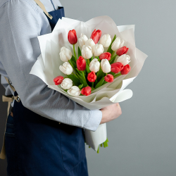 Белые и красные тюльпаны