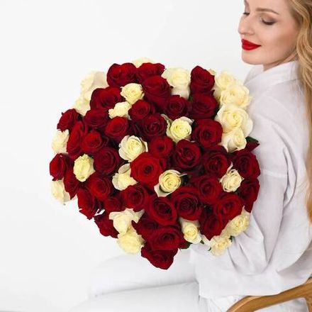 101 Роза красно-белая Эквадор 60см.