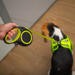 Поводок-рулетка для собак  Urban Neon M, 5м до 25кг, лента, черный, Triol