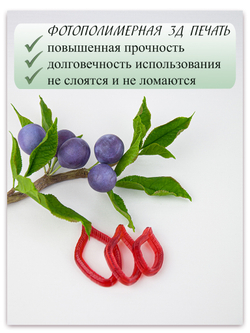 Лист сливы малый