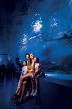 Аквариум в Анталии