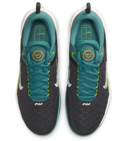 Теннисные кроссовки Nike Zoom Court NXT Clay - Multikolor
