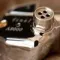 Final Audio A8000 Silver