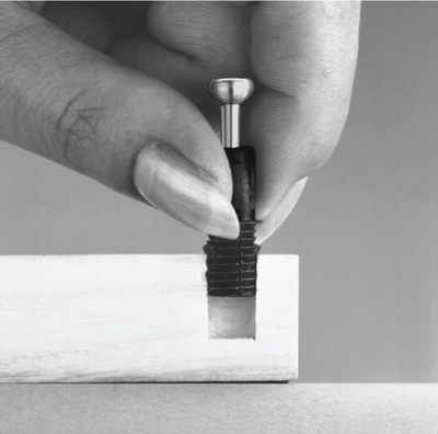 Болт MINIFIX 15, 8х11,5х24мм, с распорной муфтой, цинк/без покрытия, пластик/черный, Hafele"262.09.202