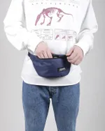 Сумка поясная Anteater Waistbag Light Navy