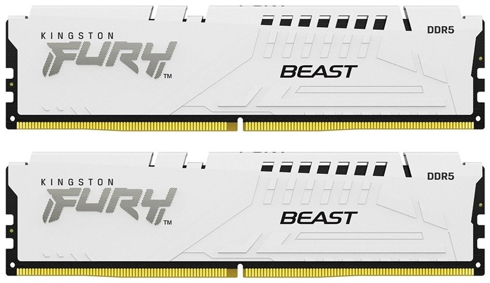 Оперативная память Kingston KF552C36BWEK2-32 32 Гб