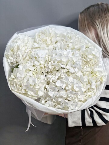 Букет из 9 белых гортензий