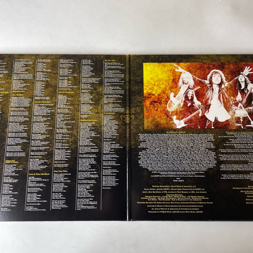 Винтажная виниловая пластинка LP Whitesnake Forevermore (Италия 2011)