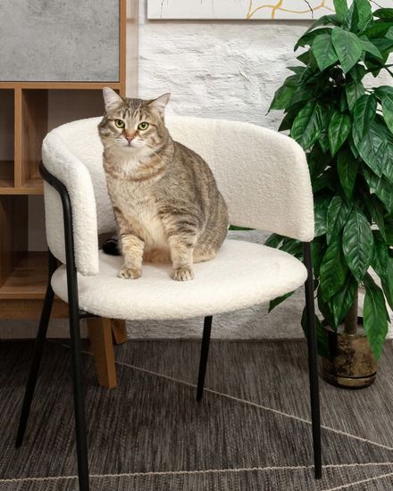 Стул кухонный  Sunny ткань букле белый