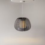 Подвесной светильник Maytoni MOD409PL-01B