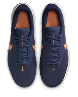 Мужские кроссовки теннисные Nike Vapor Lite 3 Clay - небесный