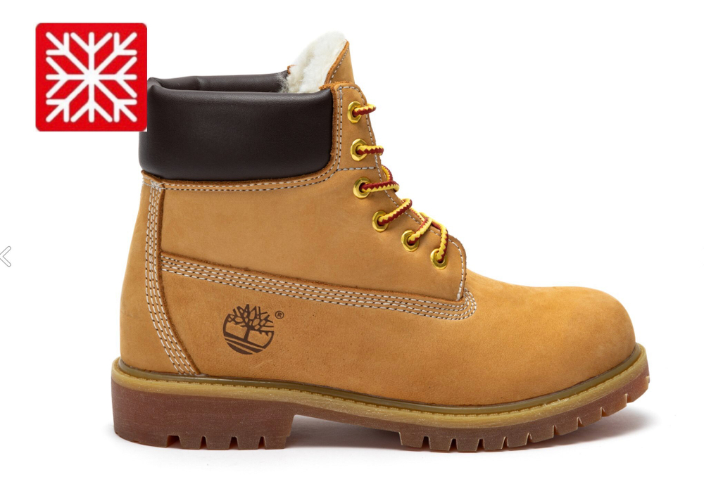 Timberland 6 Inch Boot (Brown) [WINTER]