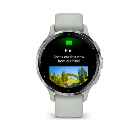 Умные часы Garmin Venu 3S 41 мм Серебристый безель из нержавеющей стали, корпус серо-шалфейного цвета и силиконовый ремешок (010-02785-01)