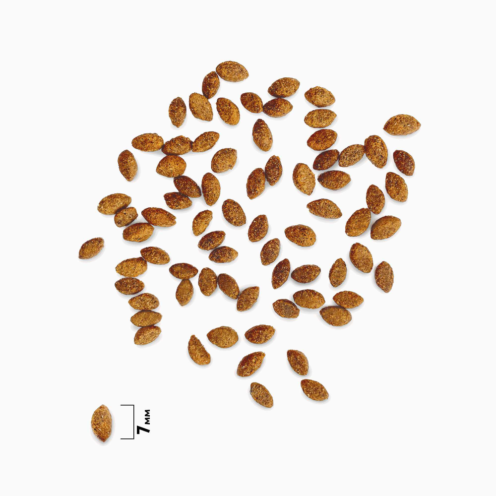 Сухой корм Brit Premium Cat Sterilized Salmon & Chicken с Лососем и Курицей 400 г