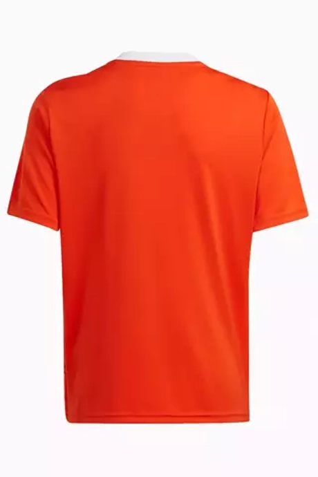 Футболка adidas Team Icon 23 Junior