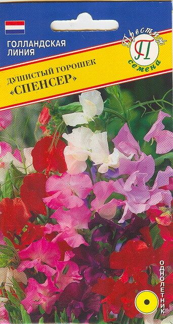 Душистый горошек