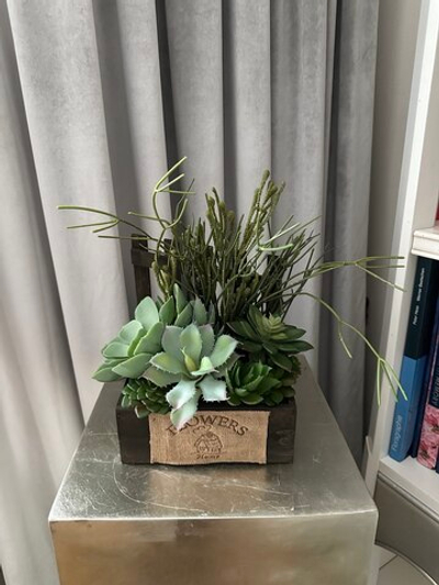 Микс суккулентов в ящике, в-34 см