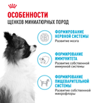 Royal Canin X-Small Puppy Икс-Смол Паппи Корм сухой для щенков миниатюрных пород в возрасте до 10 месяцев 500г