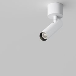 Потолочный светильник светодиодный Maytoni   C141CL-L125-6W4K-W