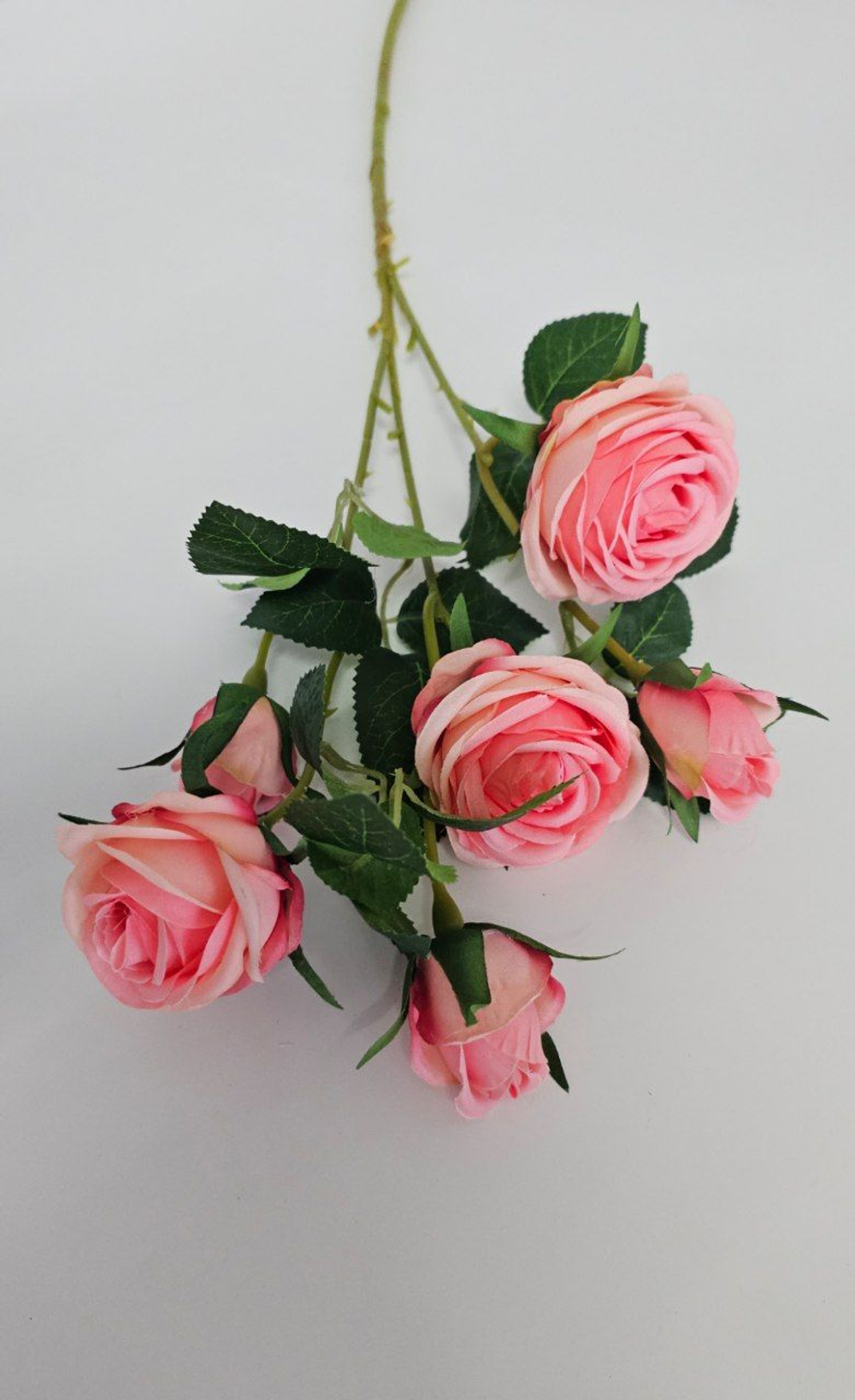 Роза кустовая / Арт 2274