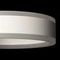 Светильник настенный Citilux Дуэт CL719310