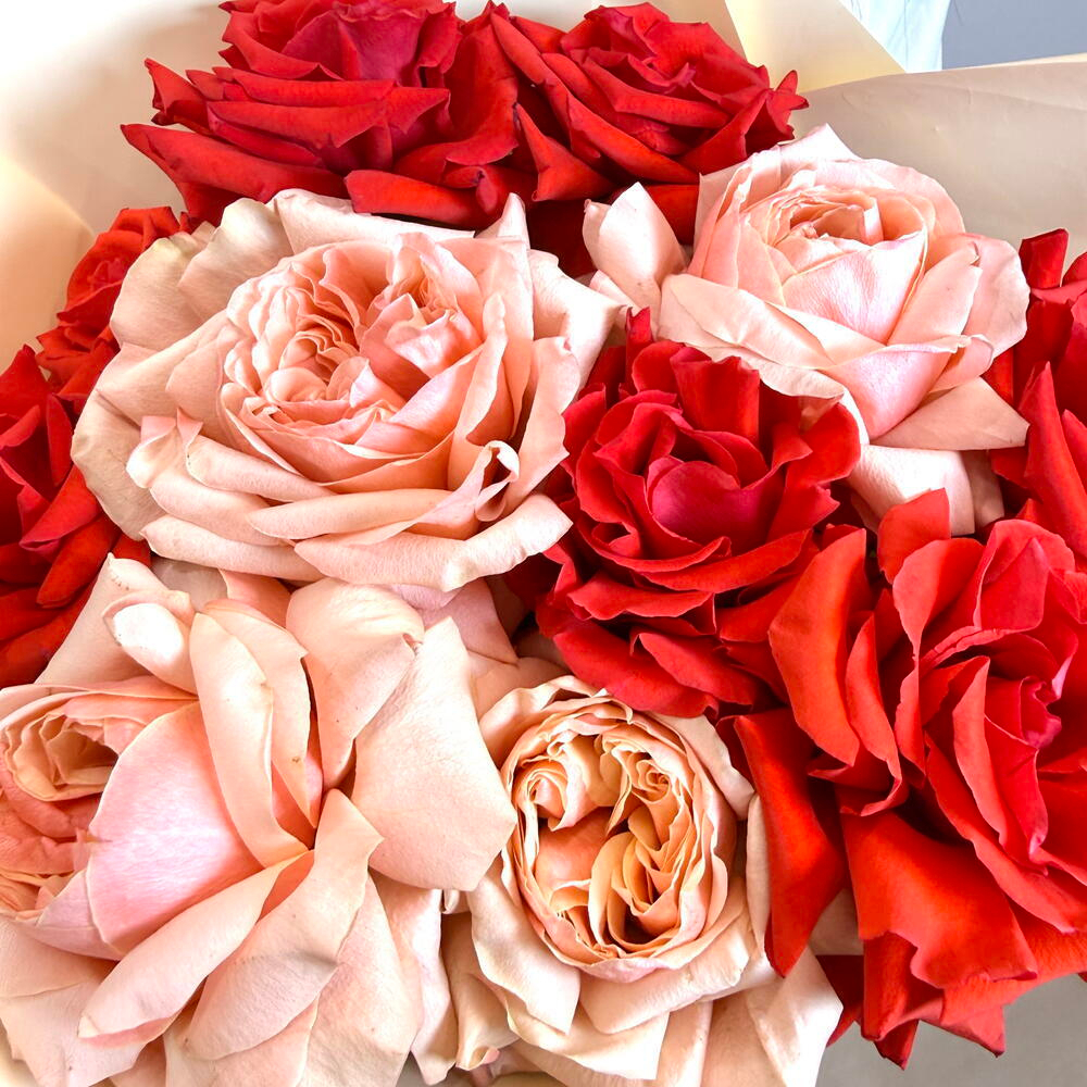 «Бархатный акцент» букет французских роз Кахала и Нина